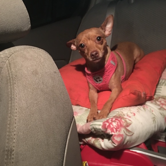 Meet your Posher, Michelle - Picture 3 of 5